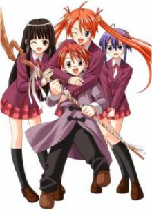 Negima!, Cover, HD, Anime Stream, ganze Folge