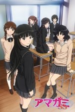 Cover Amagami SS, Poster, Stream