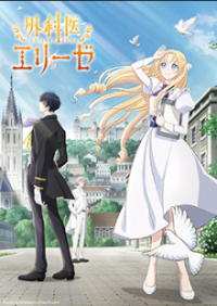 Poster, Doctor Elise: The Royal Lady with the Lamp Anime Cover