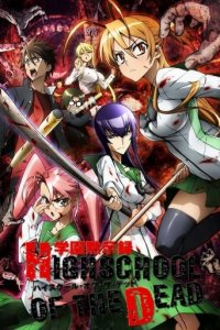 Highschool of the Dead Cover, Poster, Blu-ray,  Bild