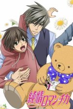 Cover Junjo Romantica, Poster, Stream