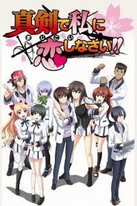 Majikoi: Oh! Samurai Girls! Cover, Stream, TV-Serie Majikoi: Oh! Samurai Girls!