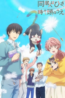 My Roommate is a Cat, Cover, HD, Anime Stream, ganze Folge