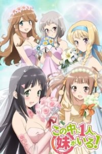 Nakaimo - My Little Sister Is Among Them! Cover, Nakaimo - My Little Sister Is Among Them! Poster