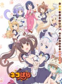 NekoparA Cover, Poster, NekoparA DVD