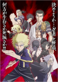 Poster, Ninja Vs. Gokudo Anime Cover