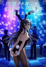 Cover Rascal Does Not Dream of Bunny Girl Senpai, Poster, Stream
