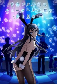 Cover Rascal Does Not Dream of Bunny Girl Senpai, Poster, HD