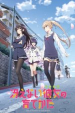 Cover Saekano: How to Raise a Boring Girlfriend, Poster, Stream