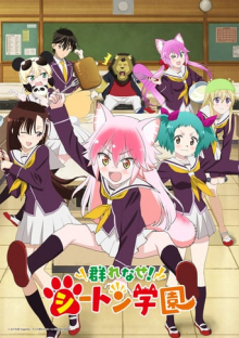 Seton Academy: Join the Pack!, Cover, HD, Anime Stream, ganze Folge