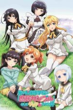 Cover Shomin Sample, Poster, Stream