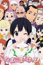 Cover Tamako Market, Poster Tamako Market