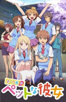 The Pet Girl of Sakurasou, Cover, HD, Anime Stream, ganze Folge