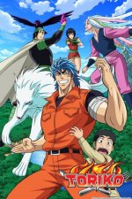 Cover Toriko, Poster, Stream