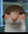 Profilbild Shease, Avatar