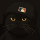 Profilbild Renard, Avatar