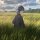 Profilbild KOU, Avatar
