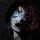 User VayzAE, Profilbild, Avatar