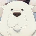 Auwui