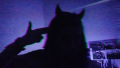 Profilbild NmlssGuy, Avatar