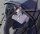 User reilo123i, Profilbild, Avatar