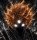 Profilbild Ichigo-Kurosaki20, Avatar