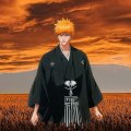 Ichigo-Kurosaki20