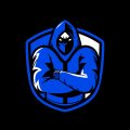Profilbild ESkibbPROTON, Avatar