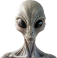 Profilbild Qionix, Avatar