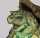 Profilbild Mezzeable, Avatar