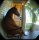 User Badie, Profilbild, Avatar