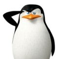 Profilbild DasBrotx3, Avatar