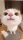 User Adromium, Profilbild, Avatar