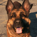 Profilbild Three-Dog, Avatar