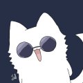 domi_st09