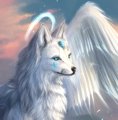 Profilbild GWGamerwolf, Avatar