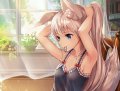 User Spinexe, Profilbild