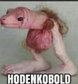 Profilbild DuckFuckingTruck, Avatar