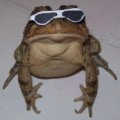 Marcelaniworld Avatar, Marcelaniworld Profilbild