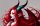 User Lilith8484220, Profilbild, Avatar