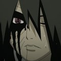 Profilbild Melonenbiene, Avatar