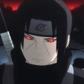 Profilbild Seqtai, Avatar