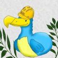 Profilbild Dodo_bob, Avatar