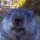 Profilbild Cloudyman04, Avatar