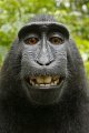 Profilbild Ali_Elegant, Avatar