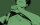 Profilbild SkuLz, Avatar
