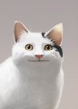 Nescafe, Profilbild, Foto, Avatar