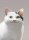 Profilbild Nescafe, Avatar, Streaming-Nuzter