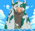Profilbild Kuh, Avatar