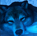 User GhostWolfGG, Profilbild